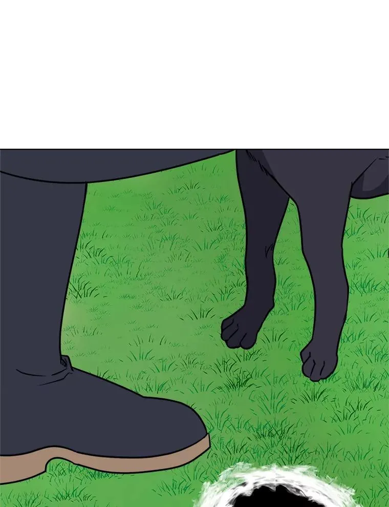 第231页
