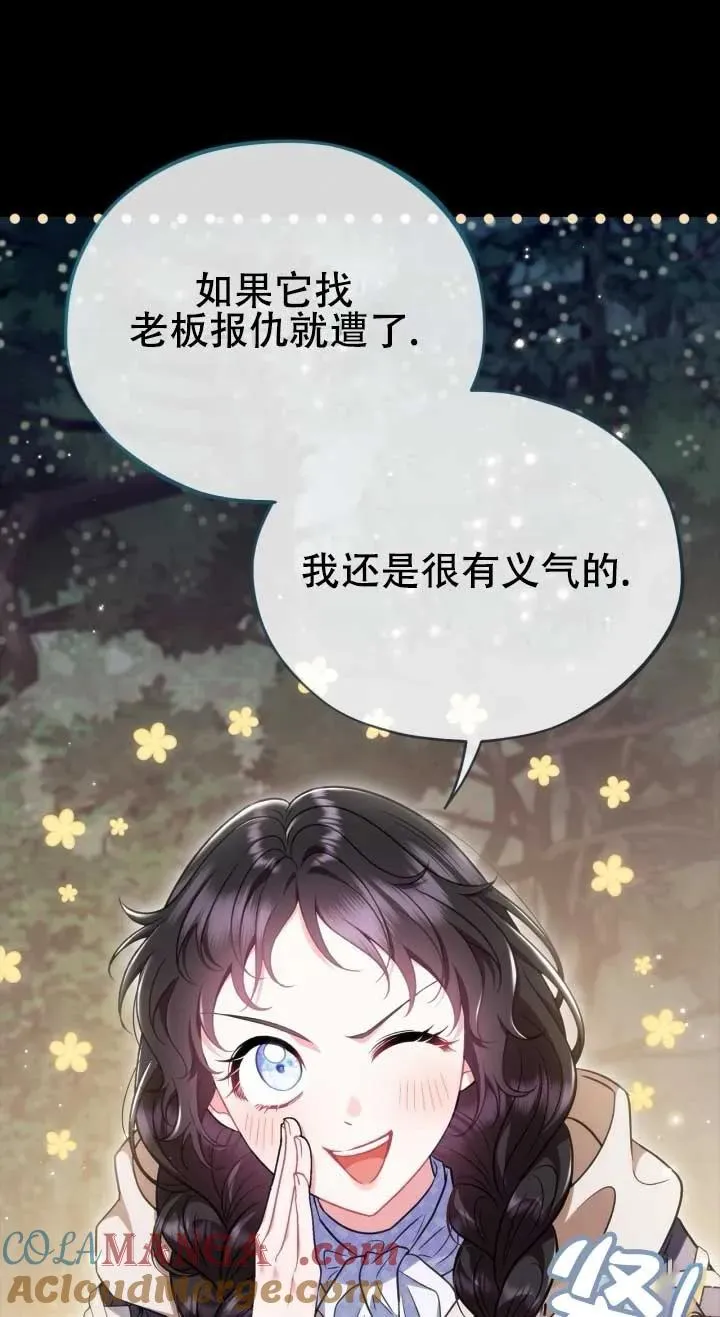 第204页