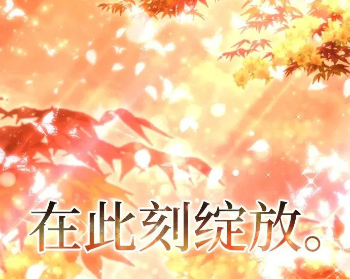 第243页