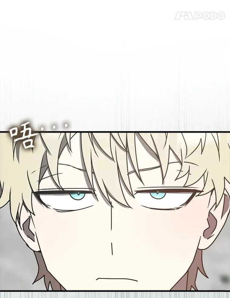 第339页
