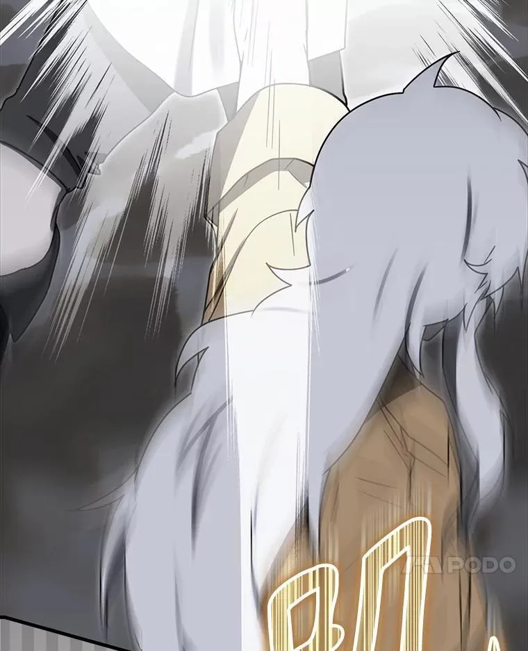 第333页