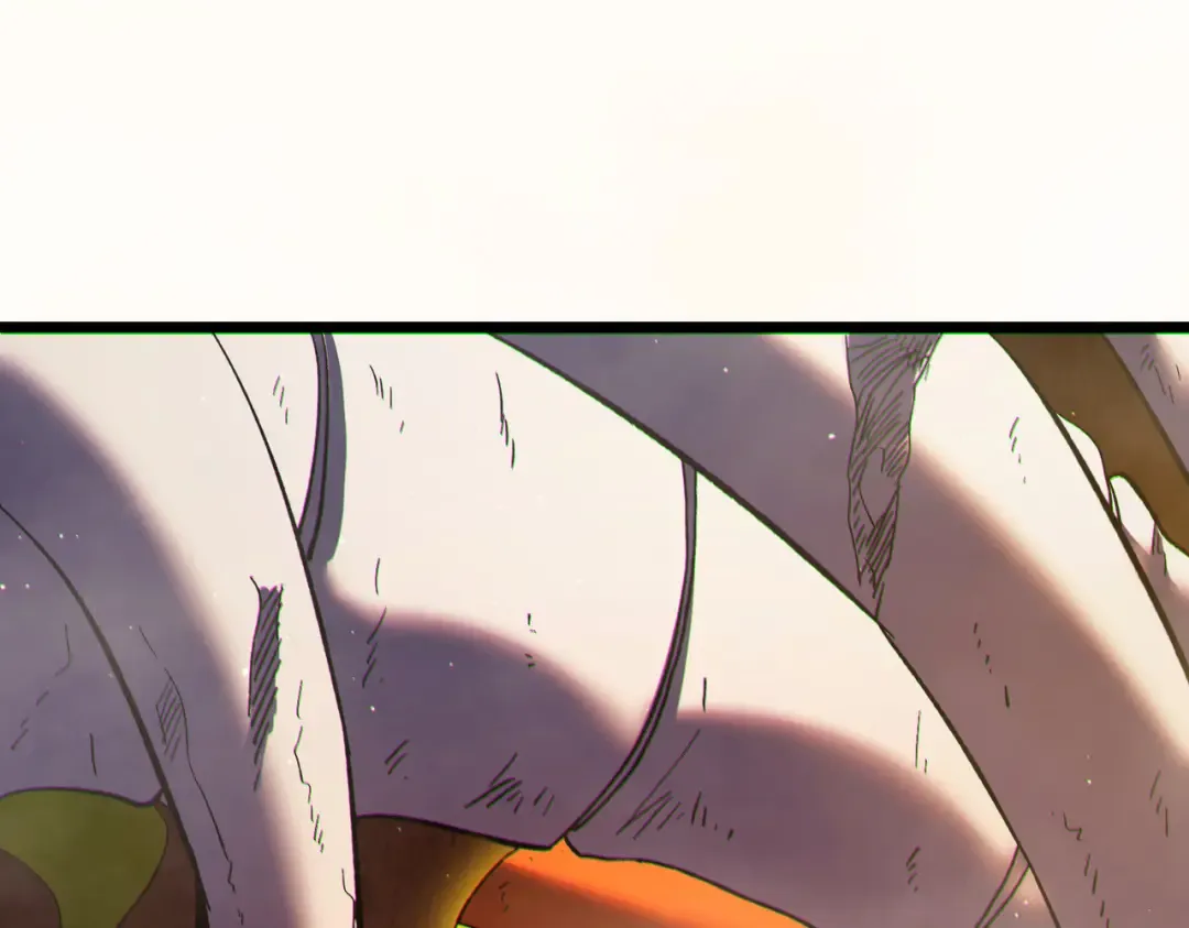 第480页