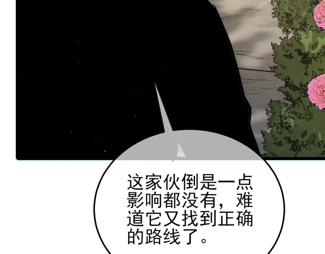第336页