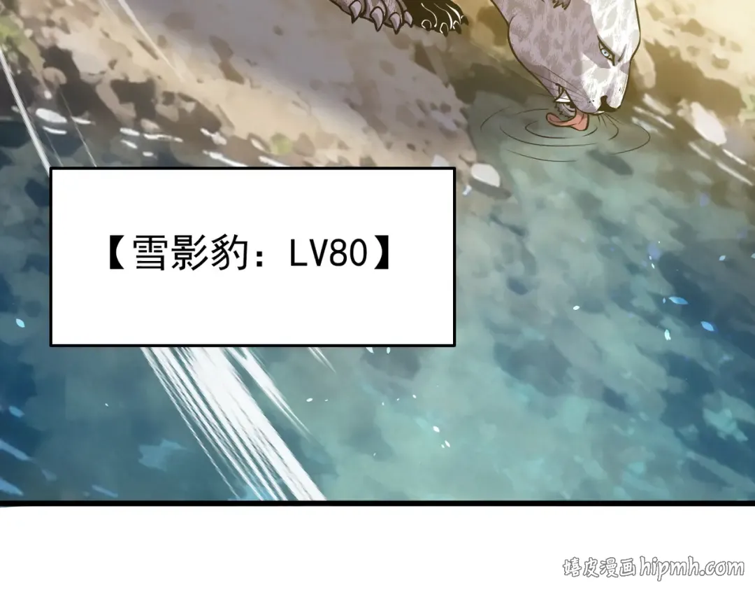 第429页
