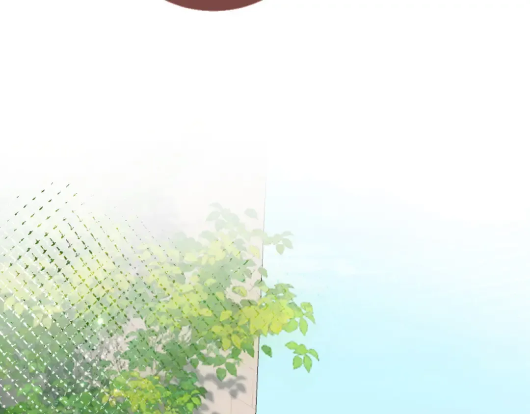 第252页