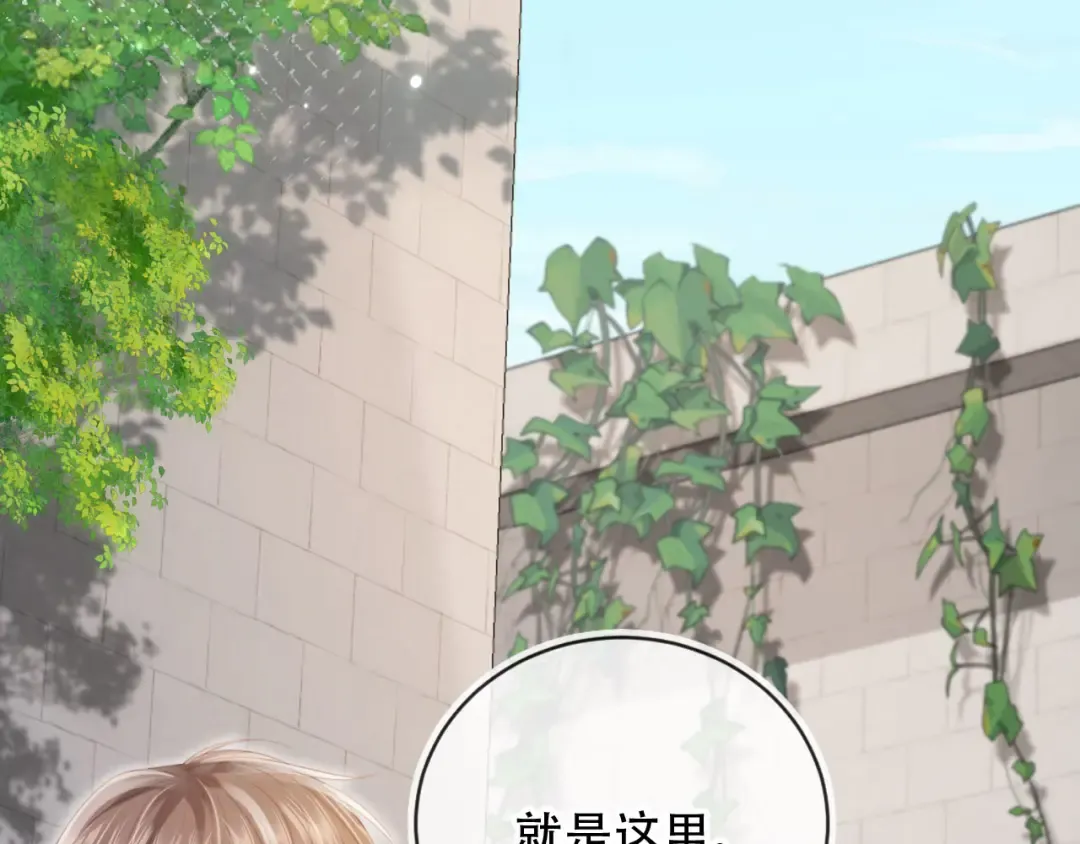 第255页