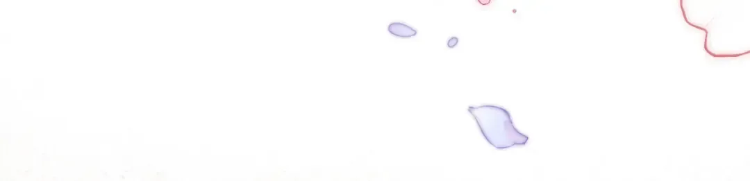 第276页