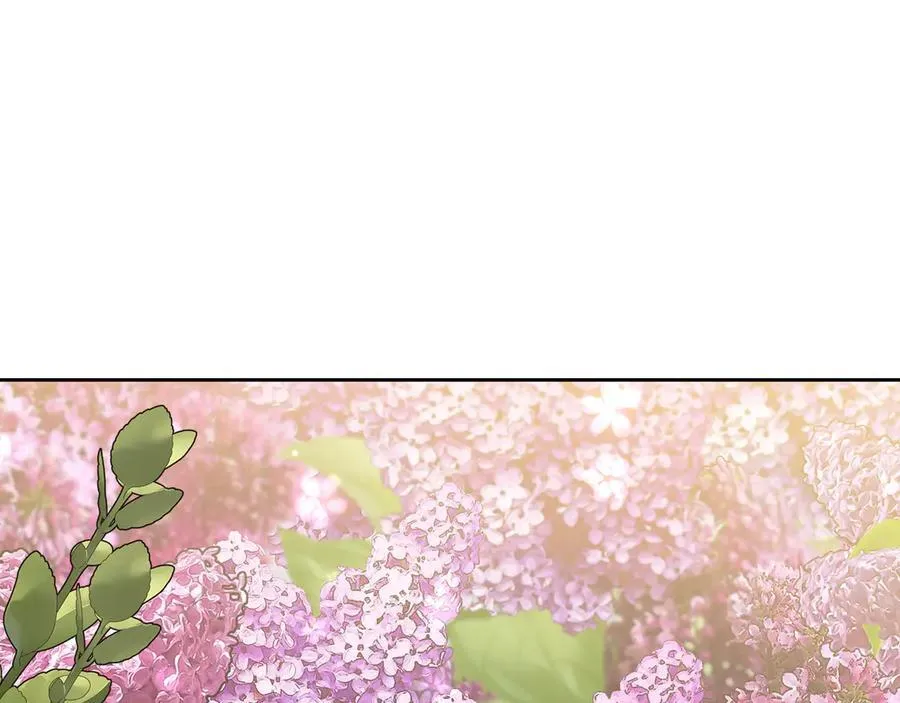 第366页