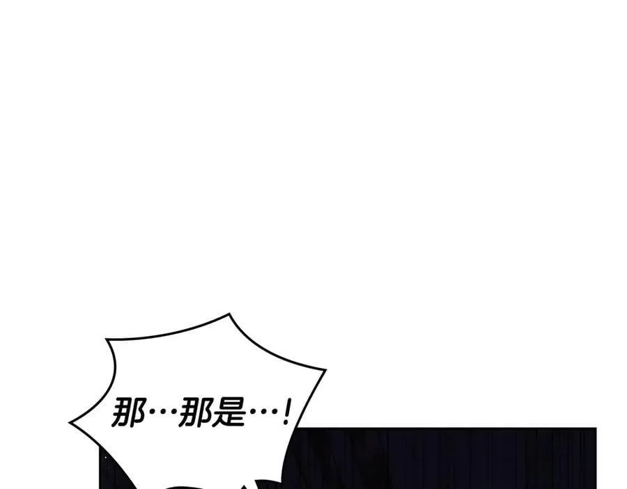 第333页