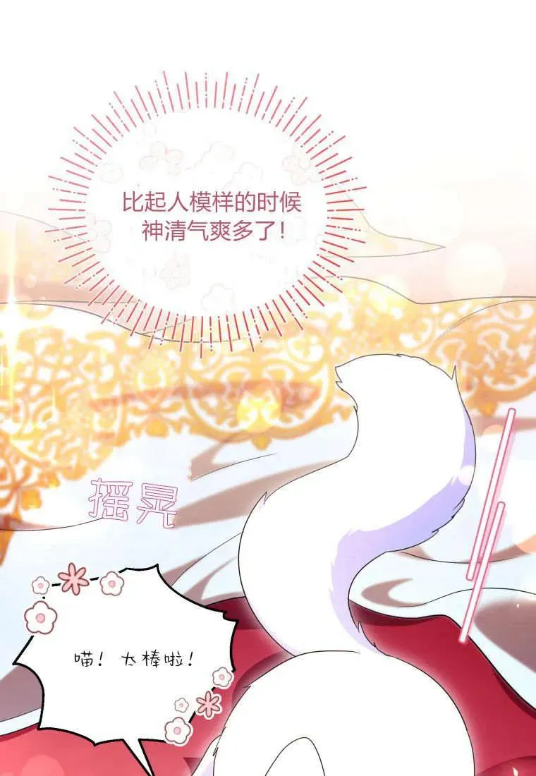 第255页