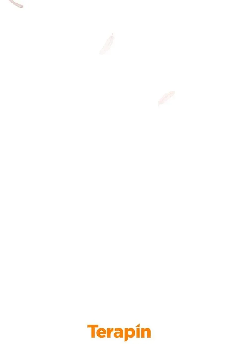 第255页