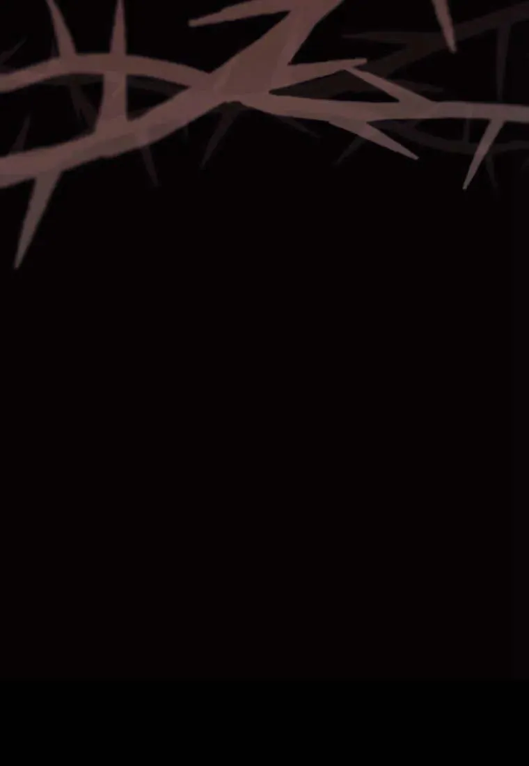 第264页