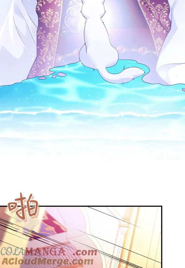 第243页