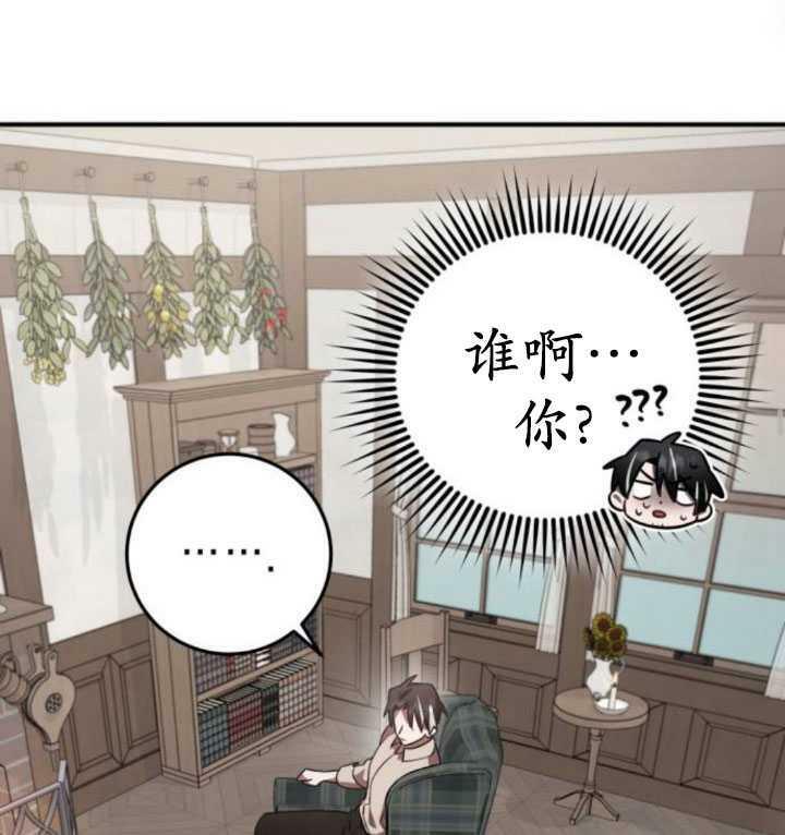 第261页