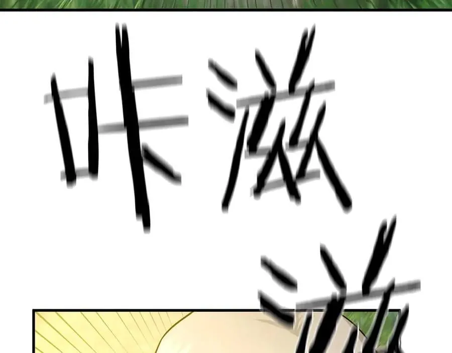 第333页