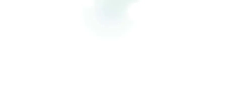 第255页
