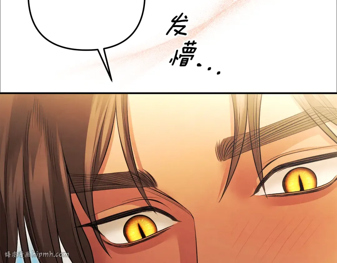 第213页