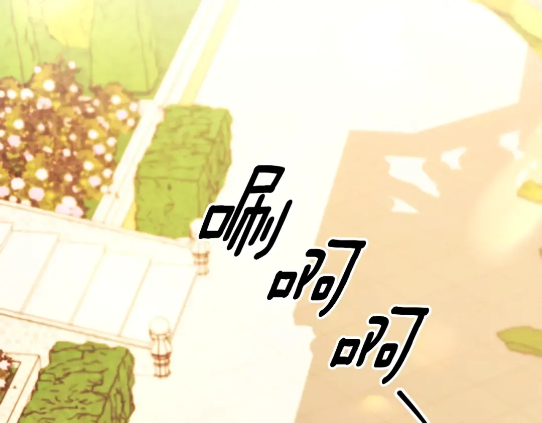 第510页