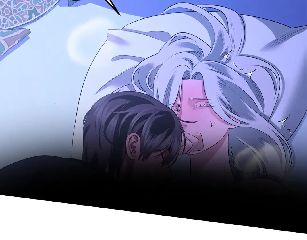 第558页