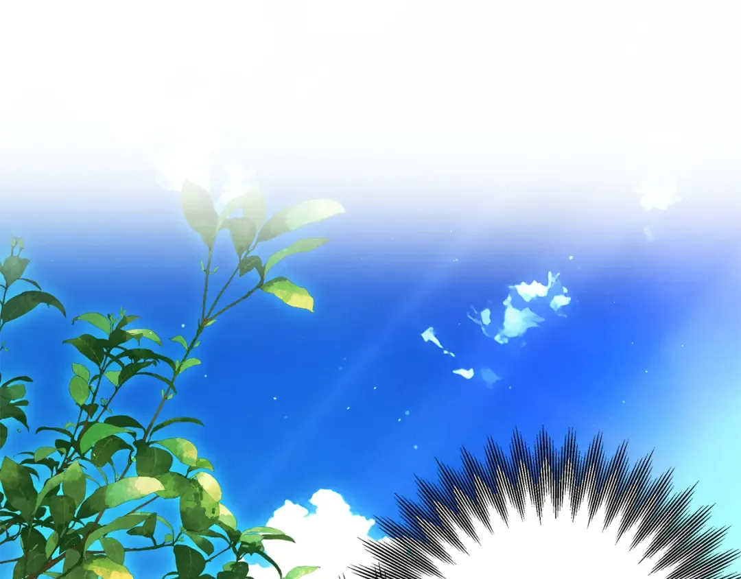 第216页