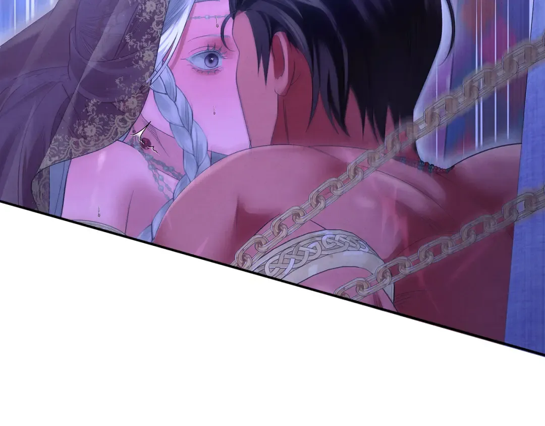 第486页
