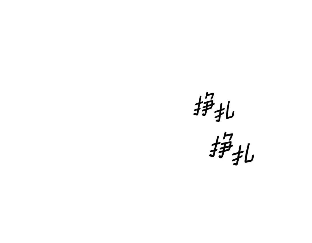 第252页