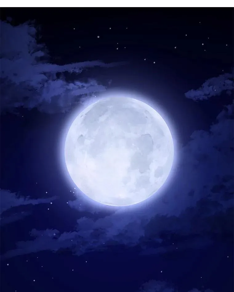 第279页