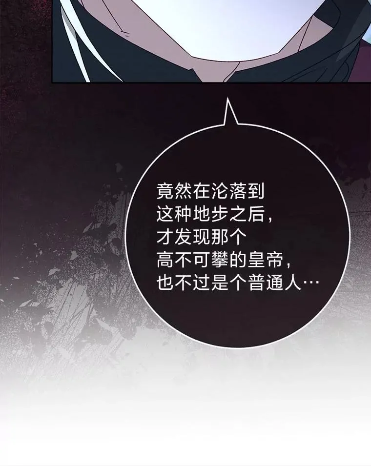 第246页