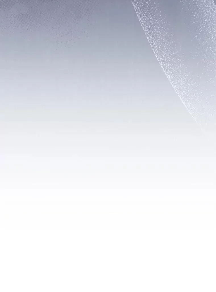 第339页