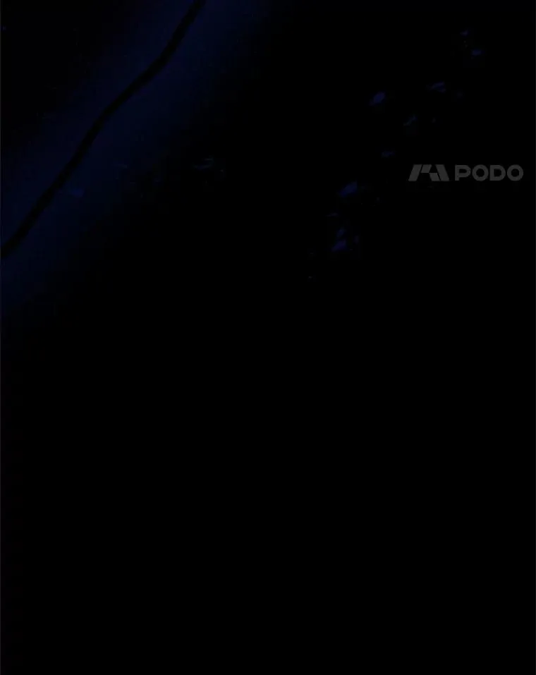 第426页