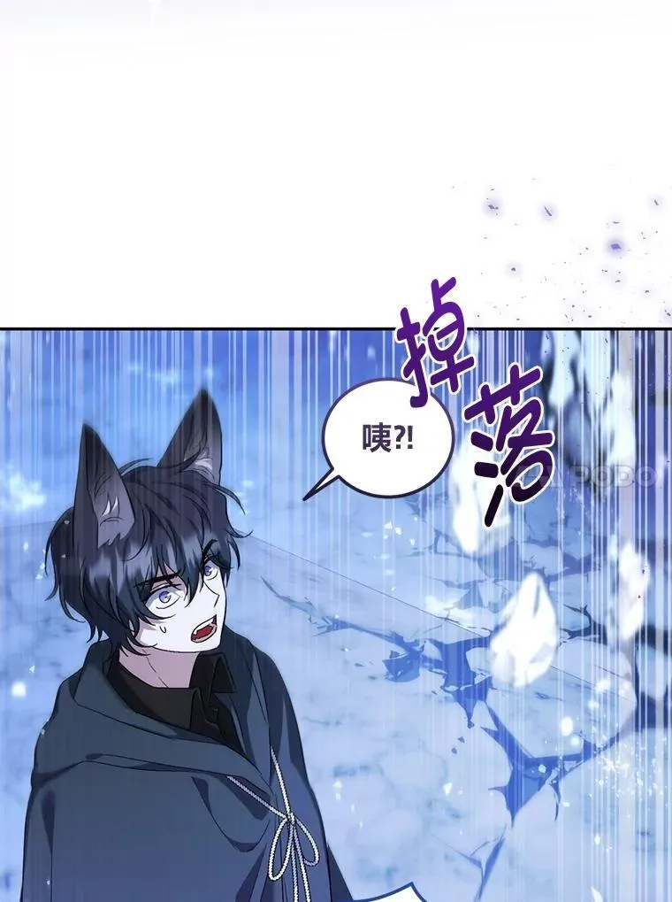 第315页