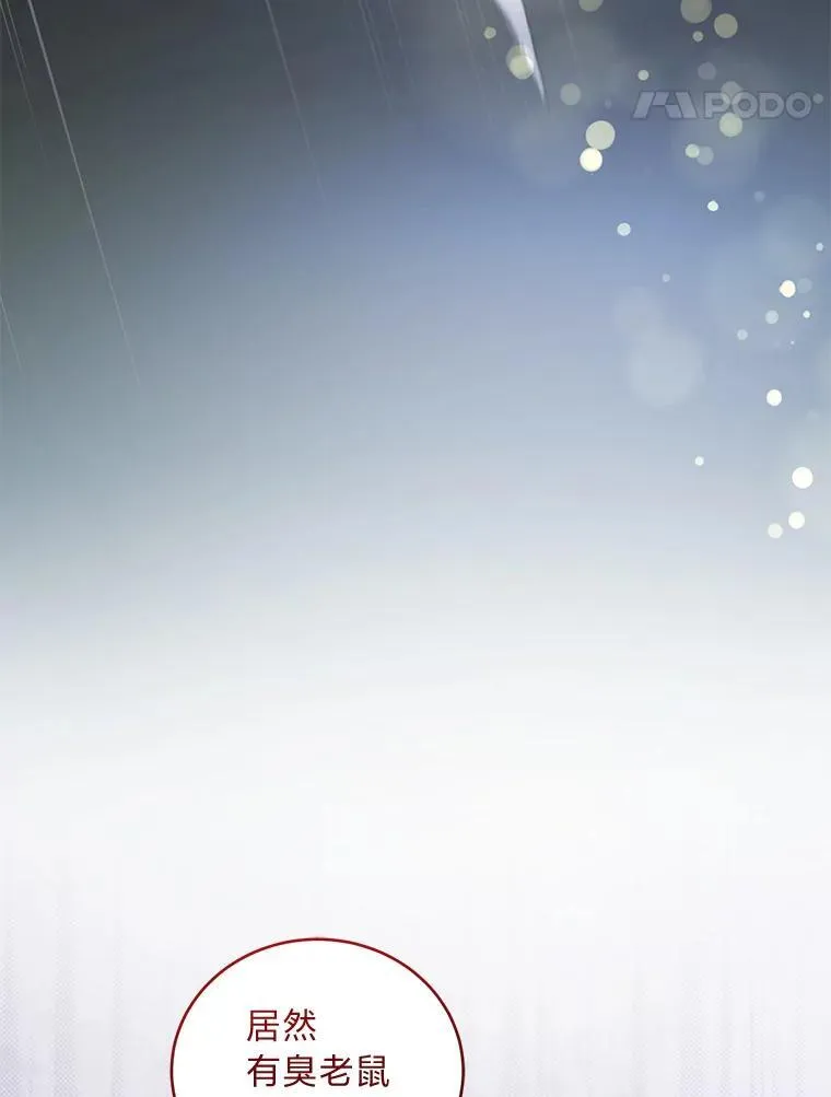 第234页