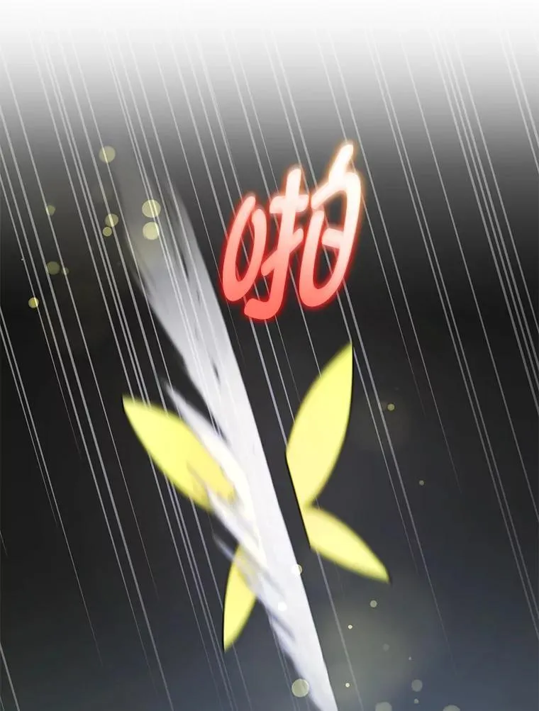 第231页