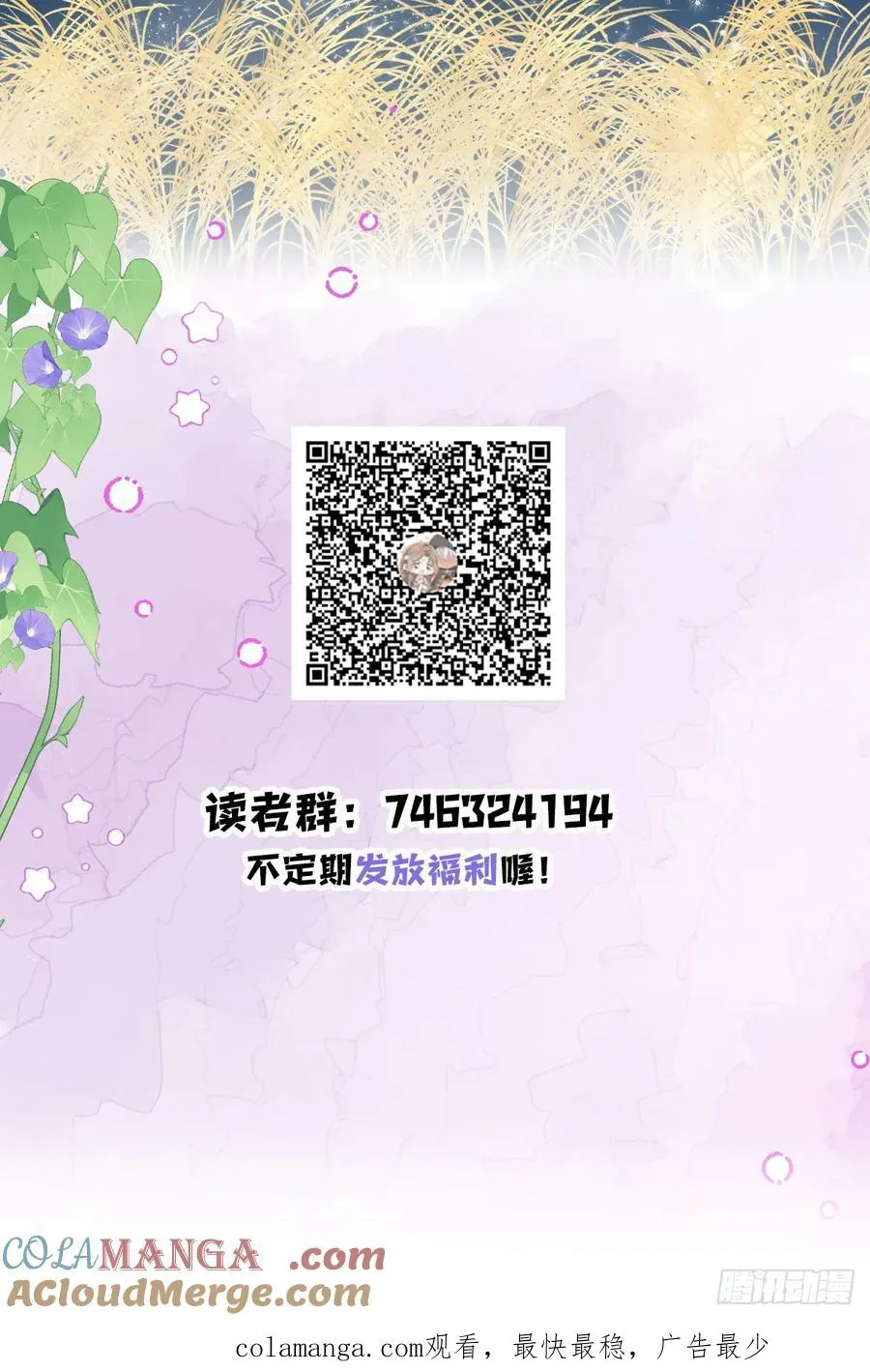 第243页