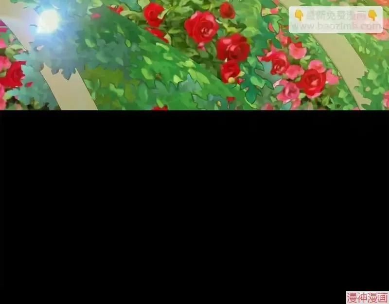 第258页