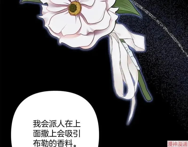 第375页