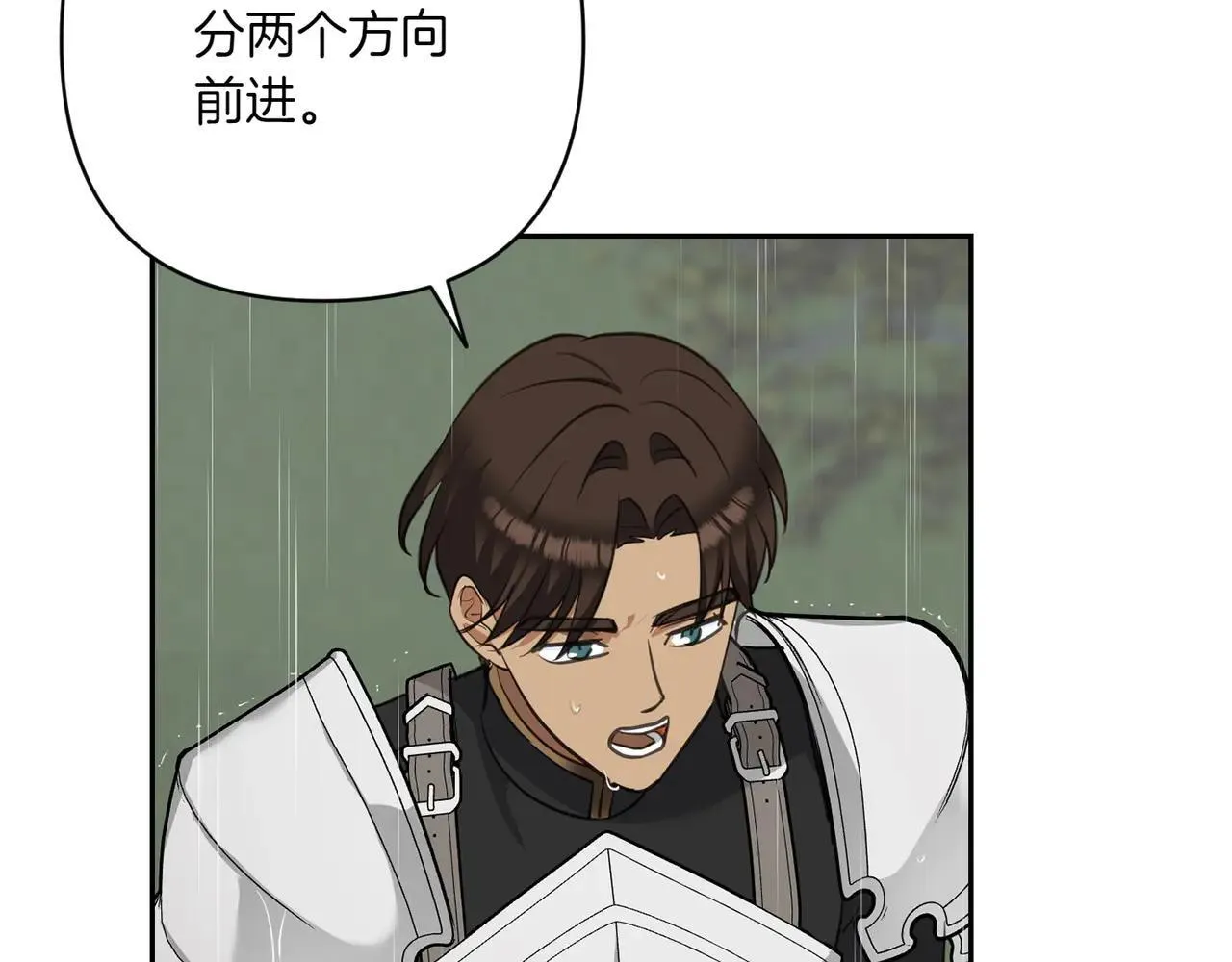 第411页