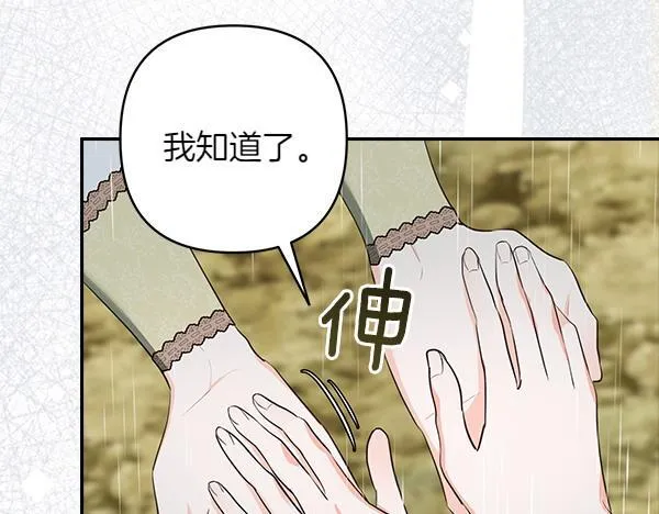 第243页