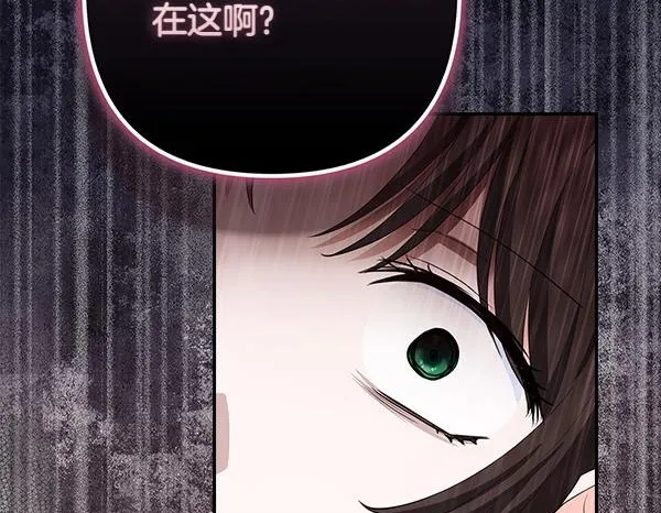 第447页