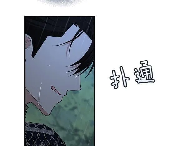 第426页