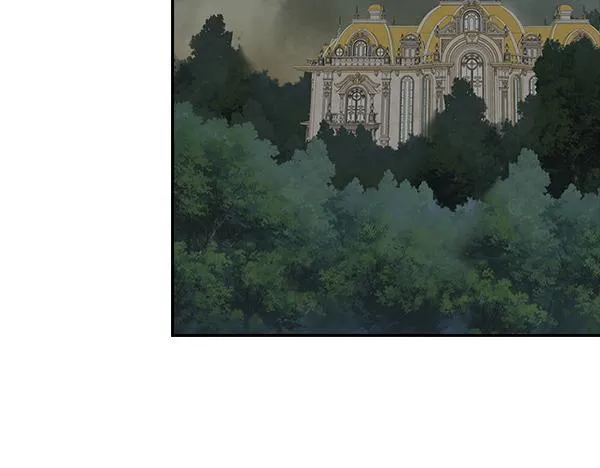 第411页