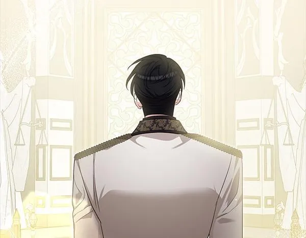 第243页