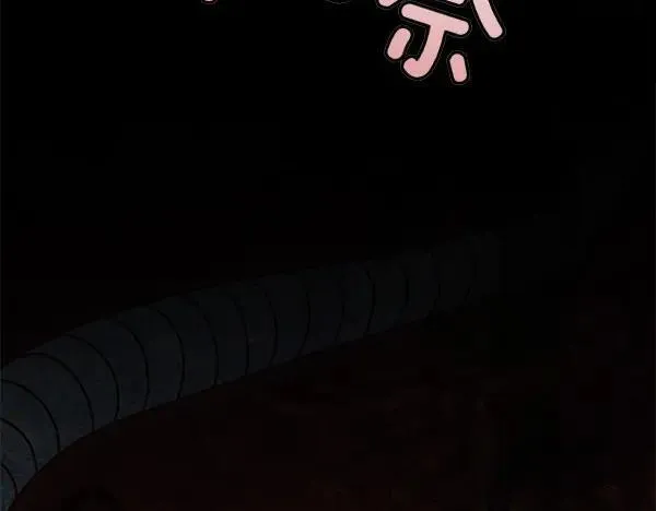 第423页