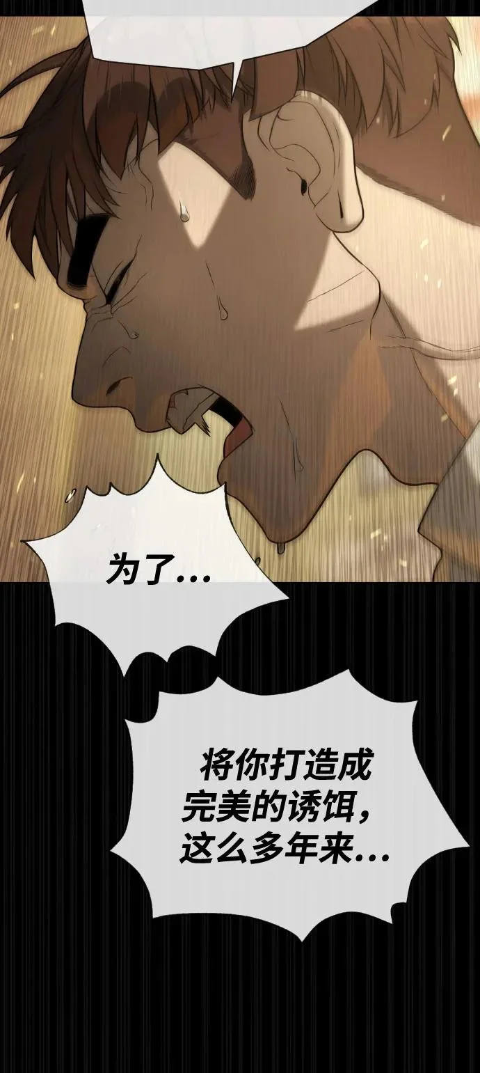 第231页