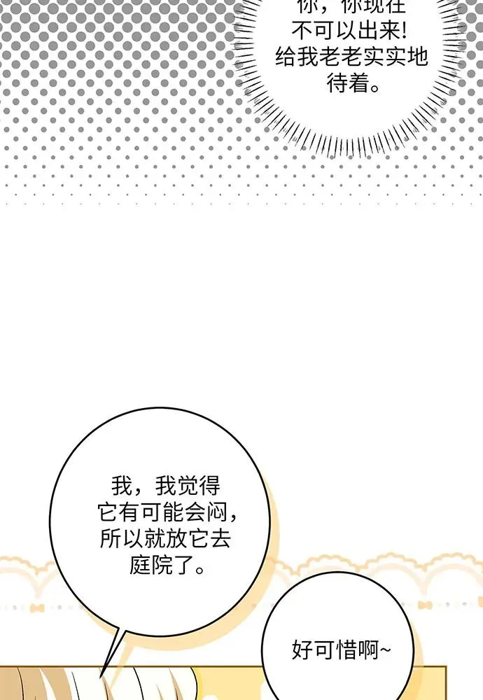 第246页