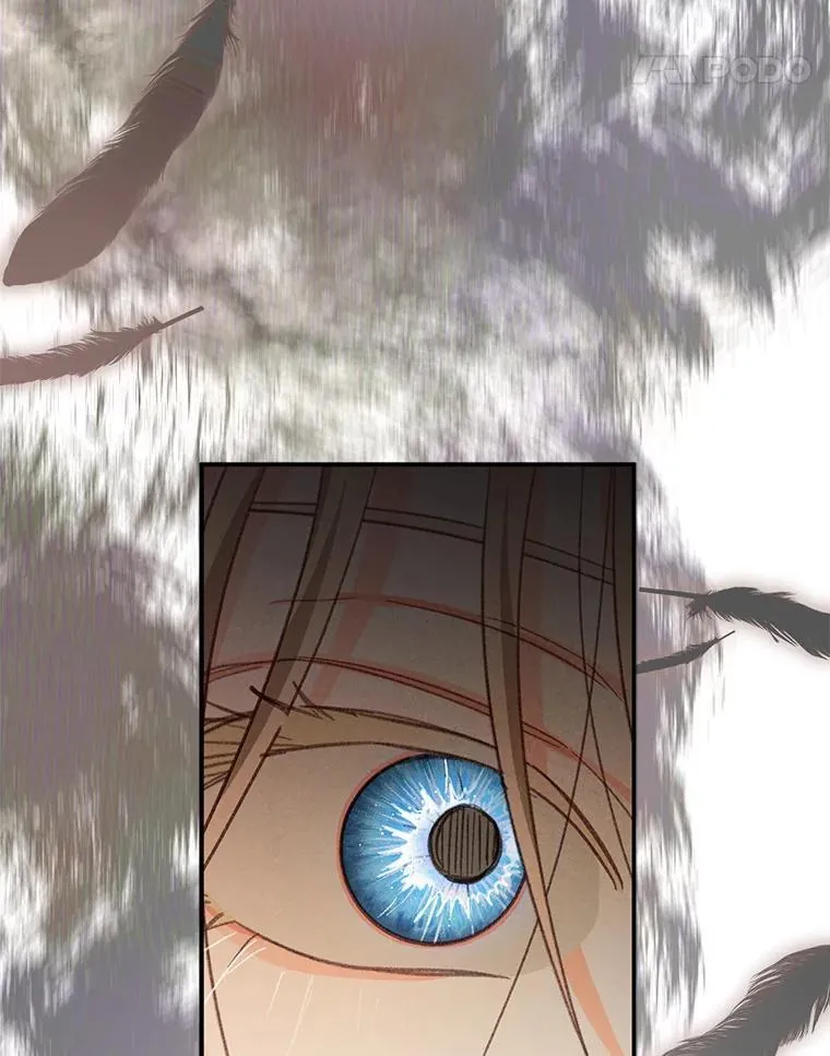 第411页