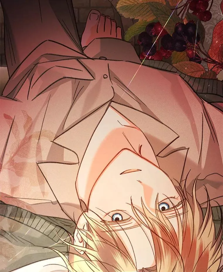 第426页