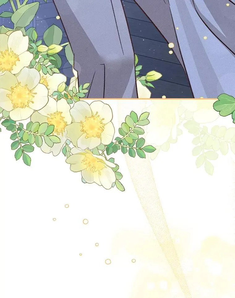 第279页