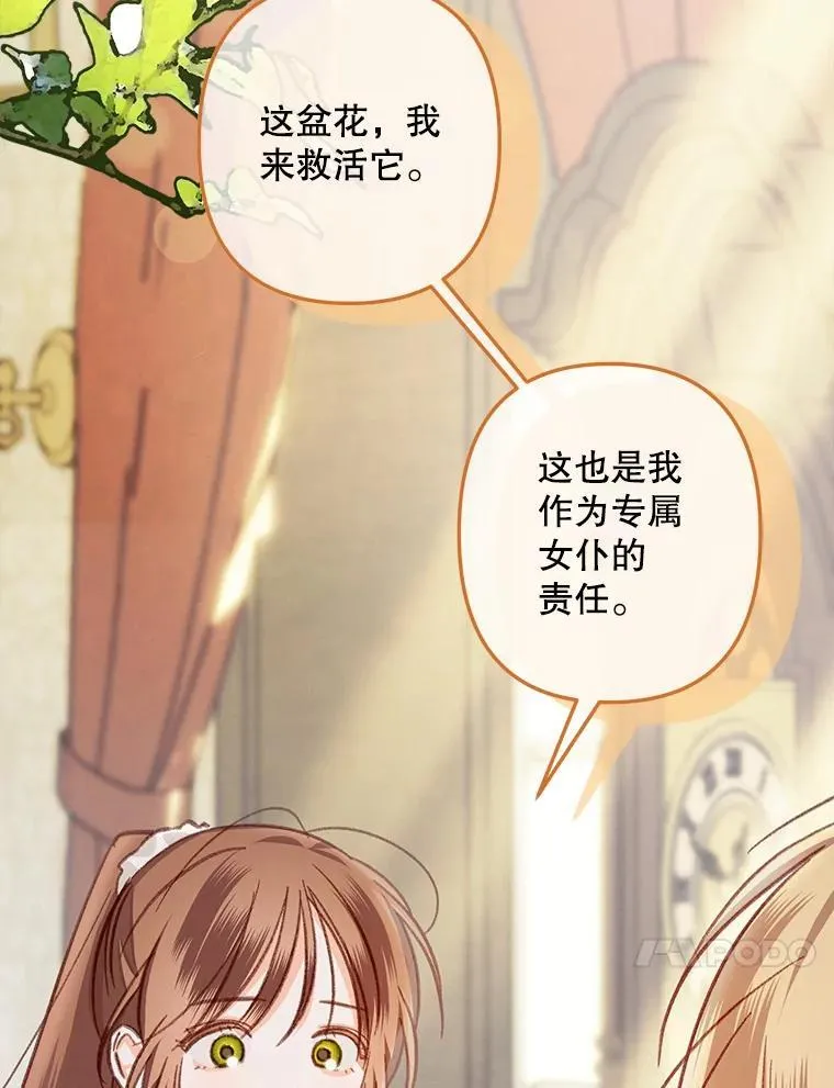 第375页