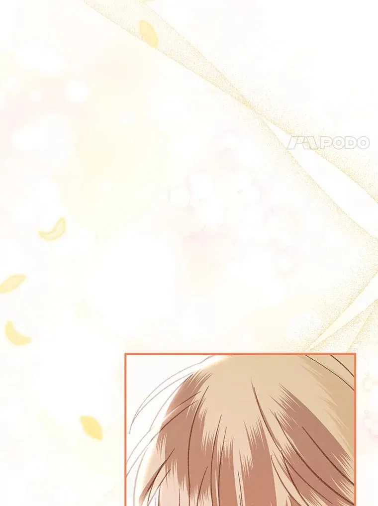 第447页